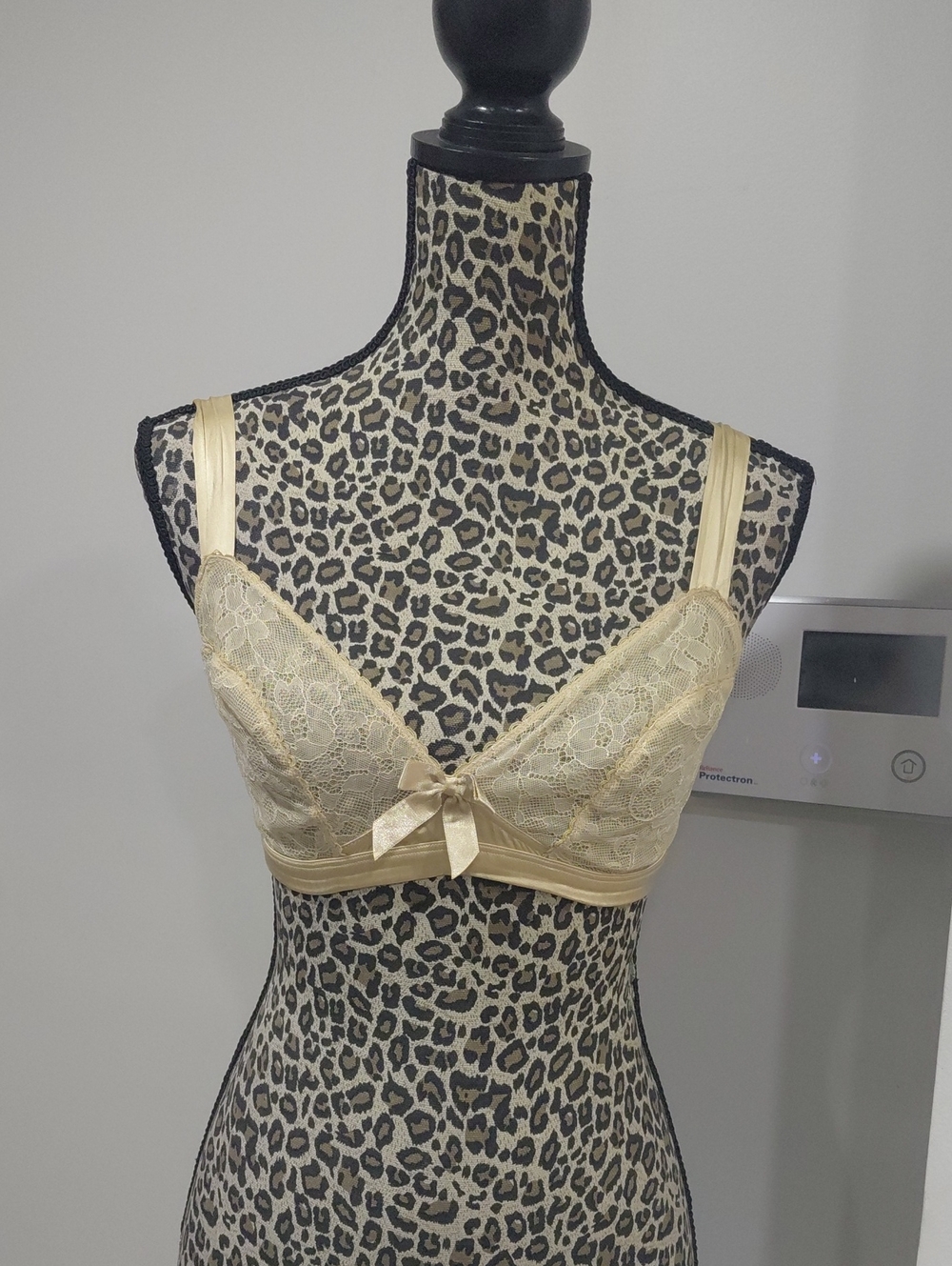 Delicate Lace Unlined Bra in Nude